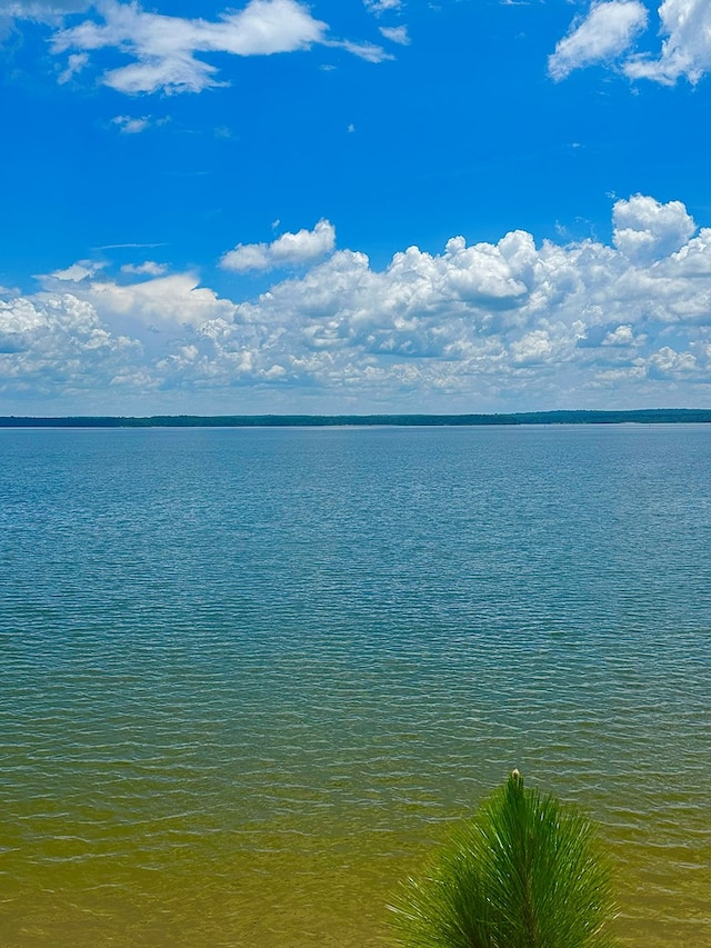 914 Lakeshore Dr, Abbeville, AL 36310