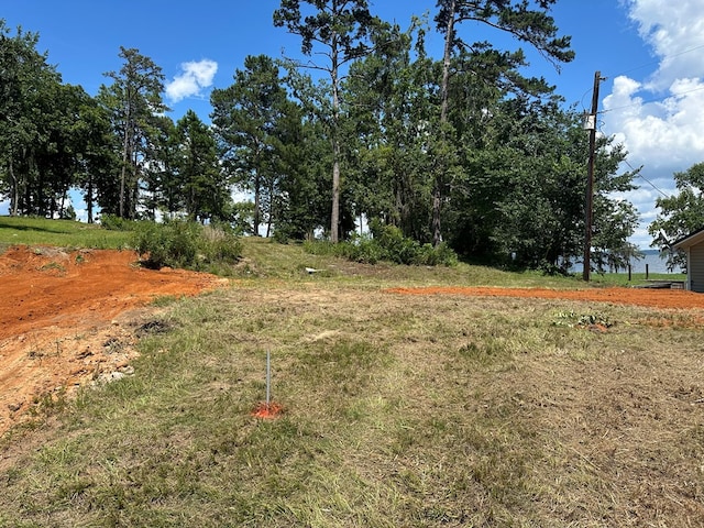914 Lakeshore Dr, Abbeville, AL 36310