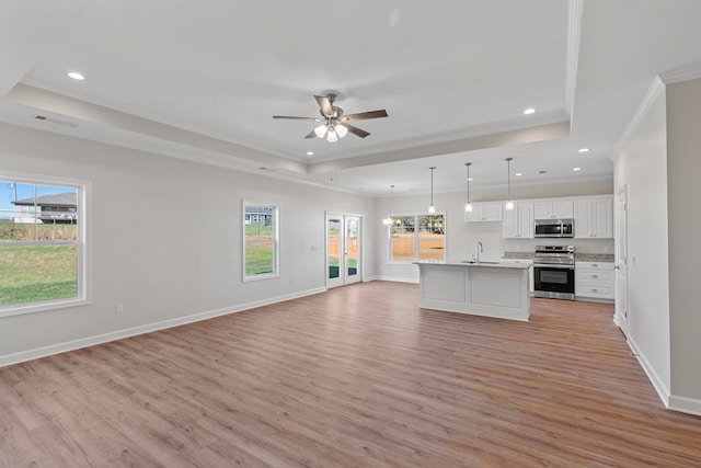 kitchen with pendant lighting, light wood-type flooring, appliances with stainless steel finishes, a tray ceiling, and white cabinetry