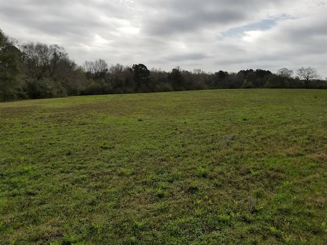 0 Suggs Rd, Headland, AL 36345