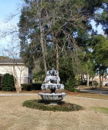 view of community featuring a lawn