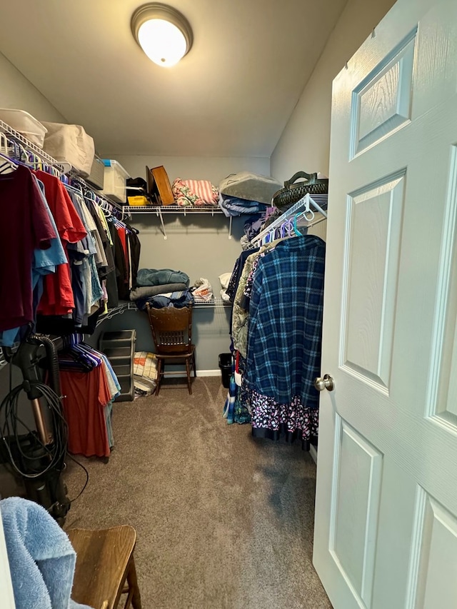 walk in closet with carpet floors