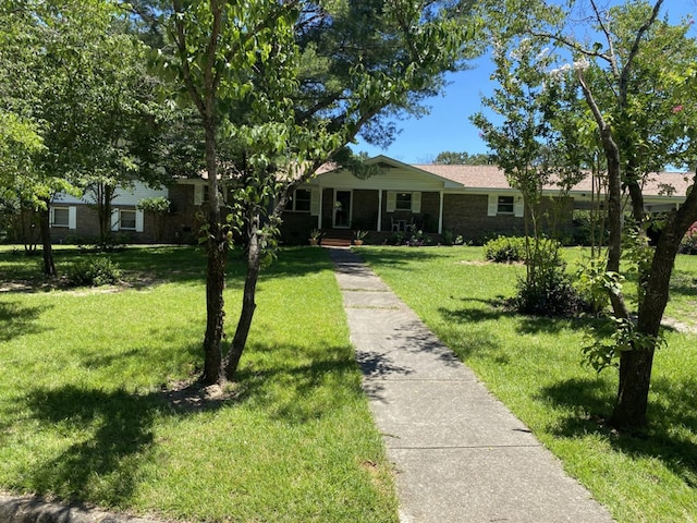 202 Christopher Dr, Abbeville, AL 36310 - photo 7
