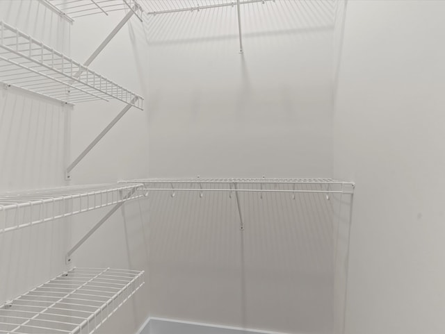 146 County Road 657, Chancellor, AL 36316 - view of spacious closet