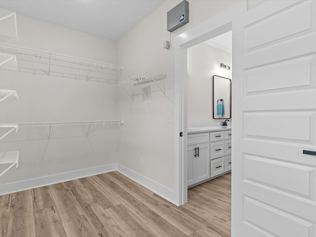 146 County Road 657, Chancellor, AL 36316 - walk in closet with light wood-style flooring