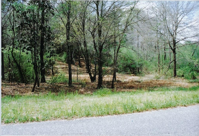 0 County Road 11, Headland AL, 36345 land for sale