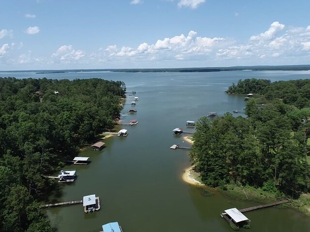 643 Englewood Dr, Abbeville, AL 36310 - photo 61