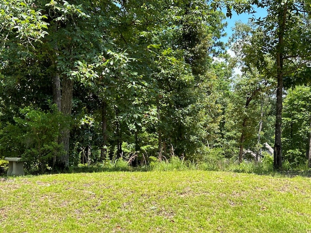 643 Englewood Dr, Abbeville, AL 36310 - photo 67