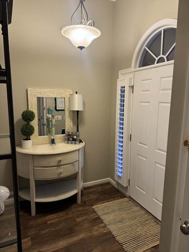 foyer entrance featuring dark wood-type flooring