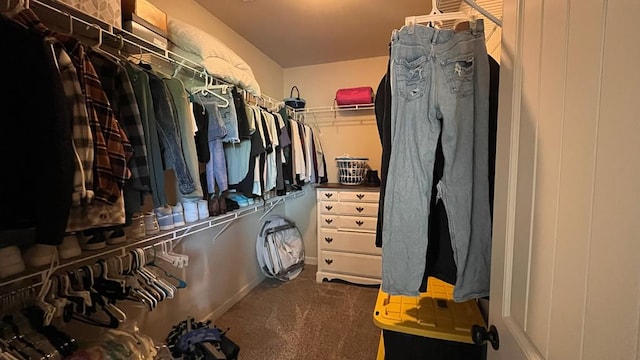 208 Reardon, Rehobeth, AL 36301 - spacious closet with carpet flooring
