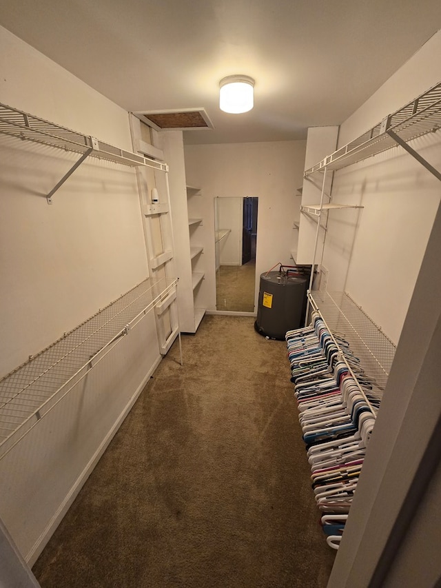 spacious closet with carpet and electric water heater