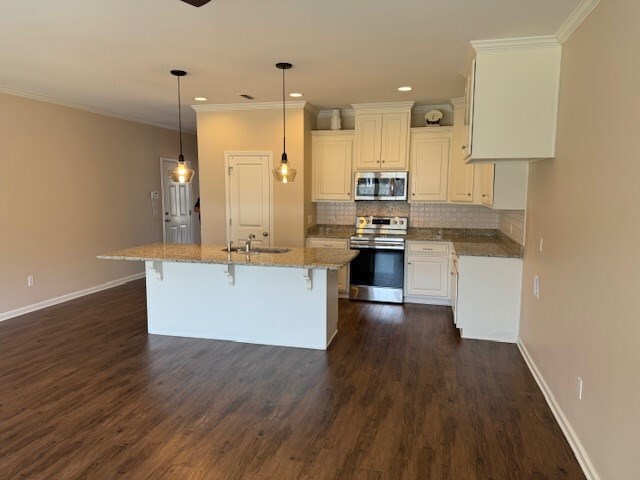 kitchen with dark hardwood / wood-style floors, crown molding, an island with sink, and appliances with stainless steel finishes