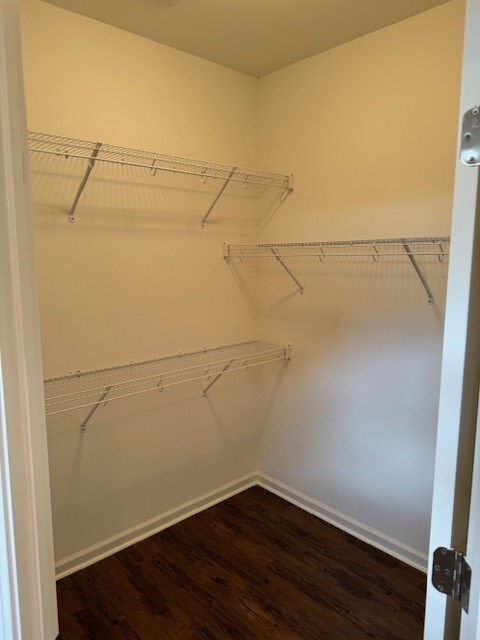 spacious closet featuring dark hardwood / wood-style floors