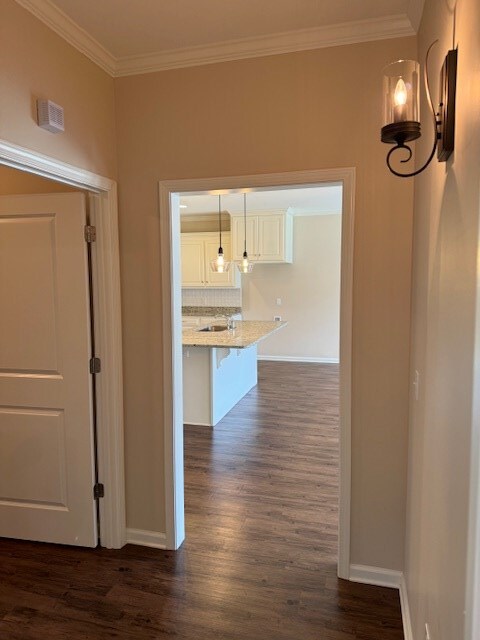 corridor featuring ornamental molding and dark wood-type flooring