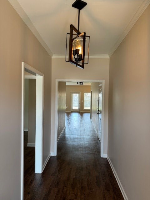 hall with ornamental molding, dark wood-type flooring, and an inviting chandelier