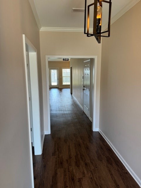 corridor with a notable chandelier, dark hardwood / wood-style floors, and ornamental molding