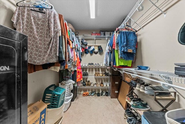 24 County Road 278, Enterprise, AL 36330 - walk in closet featuring carpet flooring