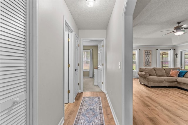 24 County Road 278, Enterprise, AL 36330 - hallway with a textured ceiling, light wood-style floors, plenty of natural light, and baseboards