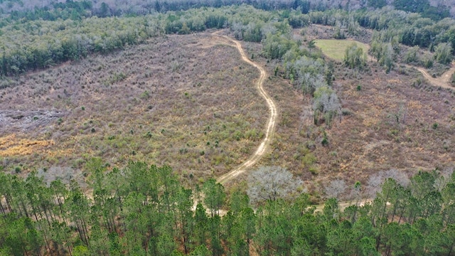 0 County Rd 13, Headland, AL 36345