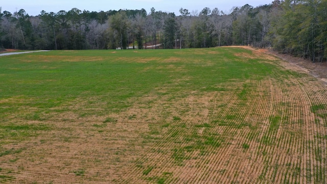 0 County Rd 13, Headland, AL 36345
