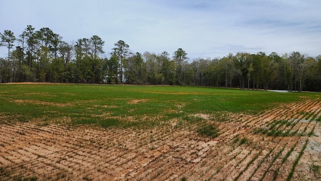0 County Rd 13, Headland, AL 36345
