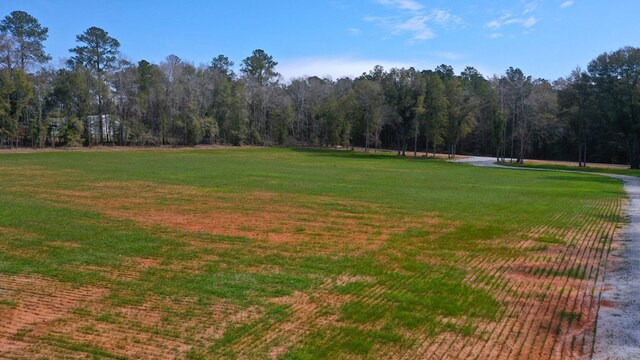 0 County Rd 13, Headland, AL 36345