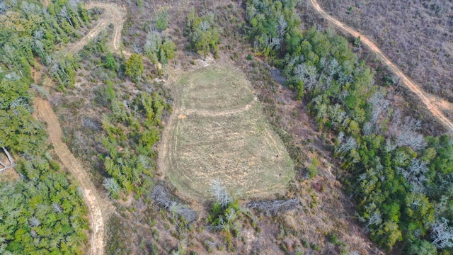 0 County Rd 13, Headland, AL 36345