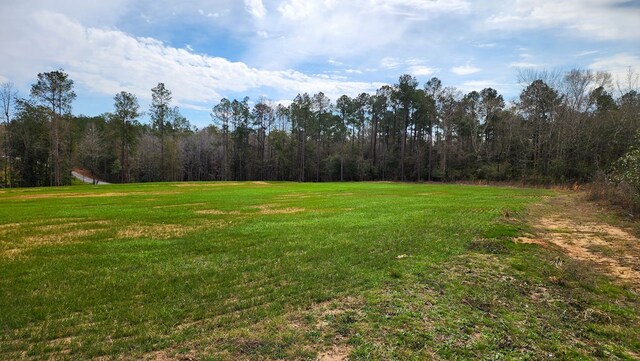 0 County Rd 13, Headland, AL 36345