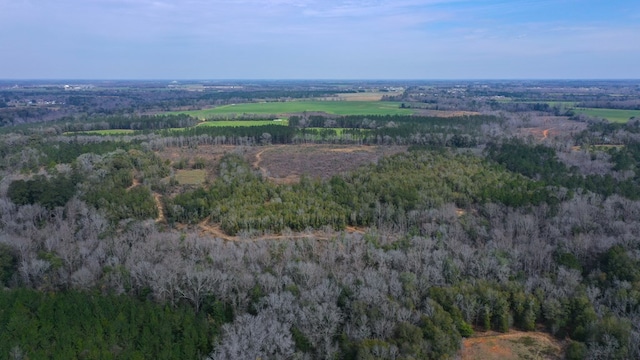 0 County Rd 13, Headland, AL 36345