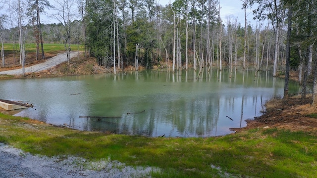 0 County Rd 13, Headland, AL 36345