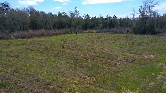 0 County Rd 13, Headland, AL 36345