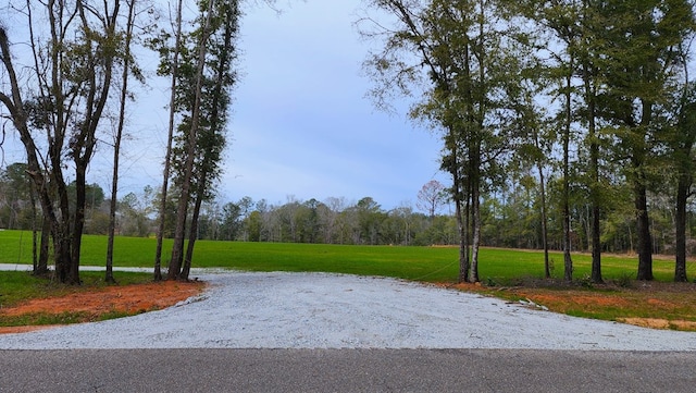 Listing photo 3 for 0 County Rd 13, Headland AL 36345