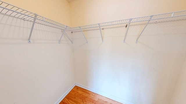 walk in closet with wood finished floors