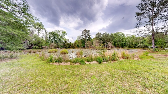 view of yard with a water view and a forest view