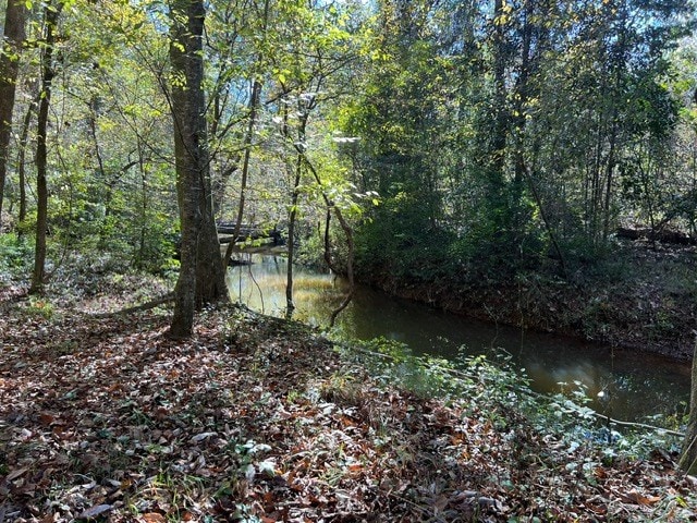 50 Holanna Rd, Morris, GA 39867 - water view featuring a heavily wooded area