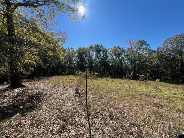 50 Holanna Rd, Morris, GA 39867 - view of yard featuring a forest view
