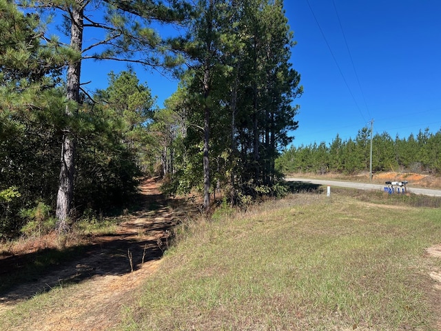 50 Holanna Rd, Morris, GA 39867 - view of yard