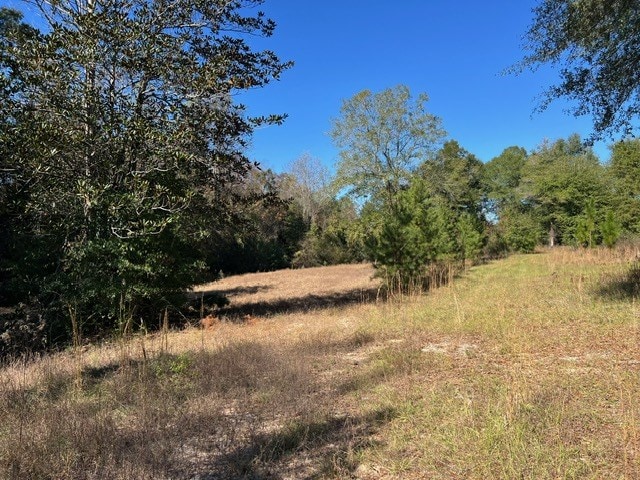 50 Holanna Rd, Morris, GA 39867 - view of woods