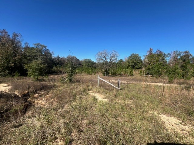 50 Holanna Rd, Morris, GA 39867 - view of yard featuring a rural view