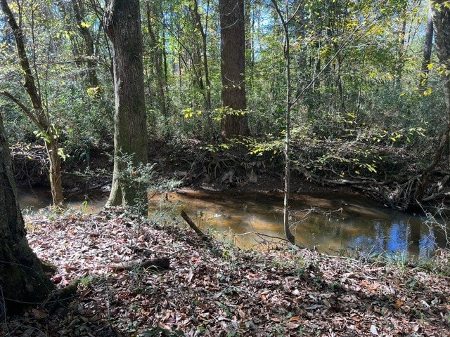 50 Holanna Rd, Morris, GA 39867 - view of local wilderness