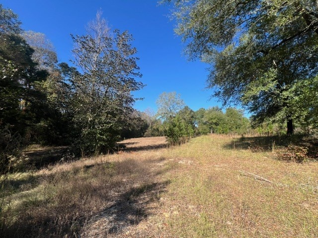 50 Holanna Rd, Morris, GA 39867 - view of yard