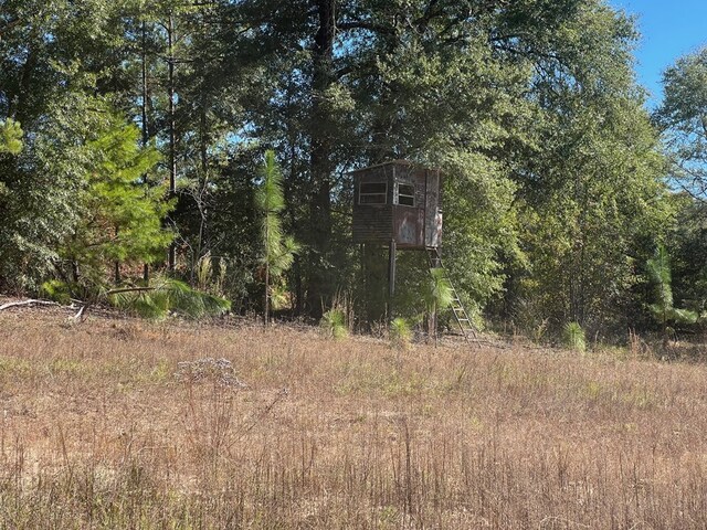 50 Holanna Rd, Morris, GA 39867 - view of local wilderness