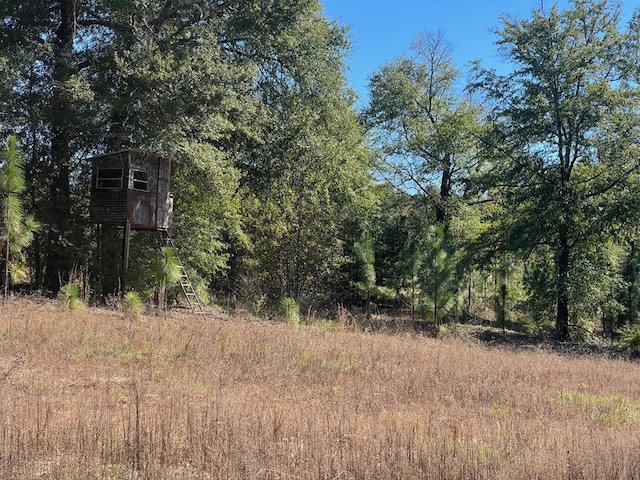 50 Holanna Rd, Morris, GA 39867 - view of local wilderness