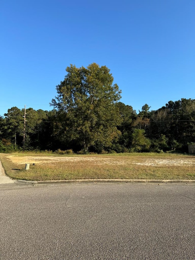 2008 Fern Dr, Dothan AL, 36301 land for sale