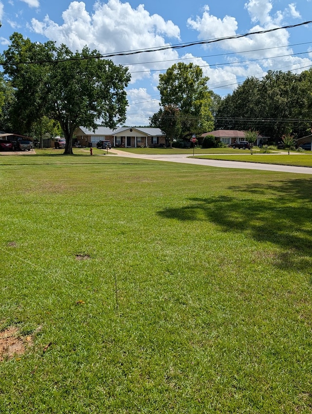 115 Armstrong St, Headland, AL 36345 - photo 58