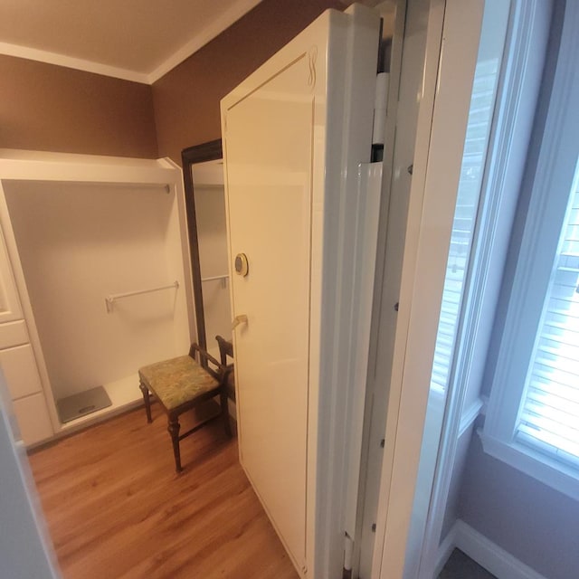 6325 State Highway 95, Abbeville, AL 36310 - corridor featuring light wood-style flooring