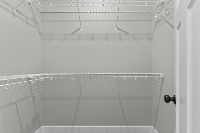 45 County Road 711, Enterprise, AL 36330 - view of walk in closet