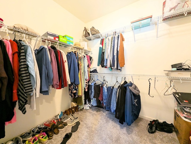 walk in closet featuring carpet floors