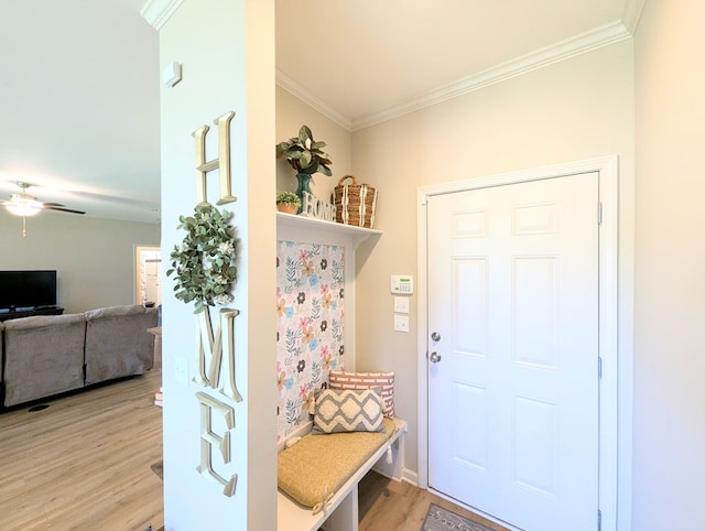 mudroom with crown molding, light wood finished floors, and a ceiling fan