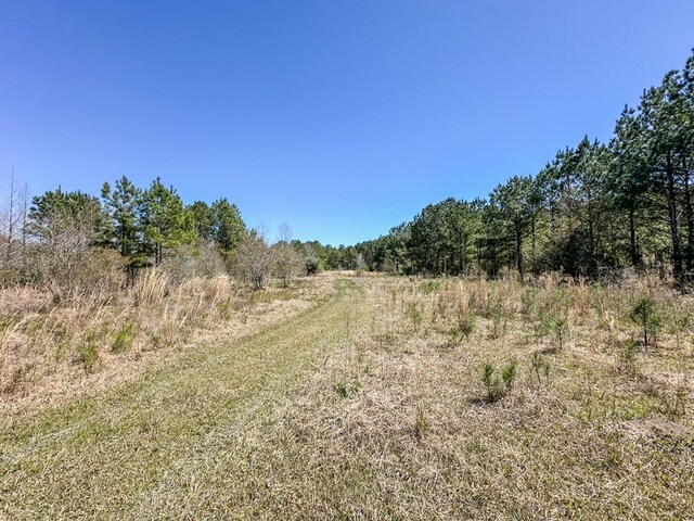 0 Harvest Time Rd, Samson, AL 36477
